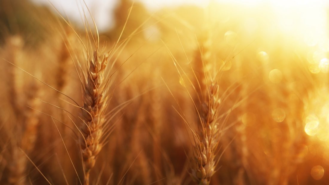 At Pentecost: A Covenant Renewed, A Bride Empowered