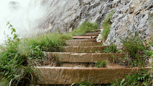 From First Steps to Deeper Roots